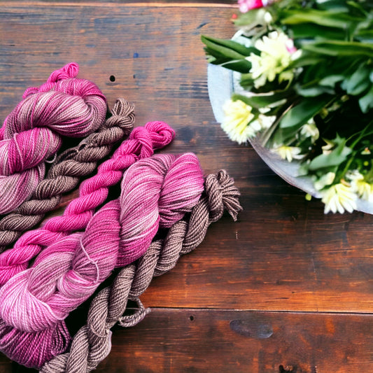 Dance Recital Superwash DK Sock Set 80/20 - SkeinAppeal