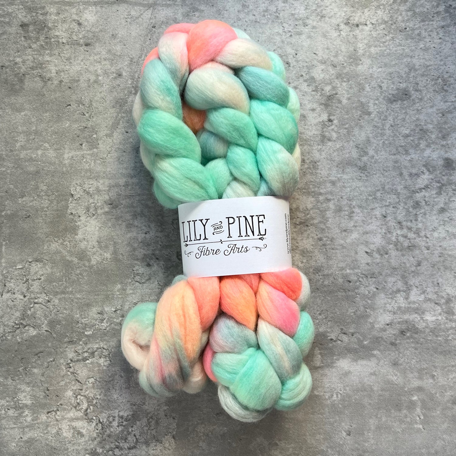 Lily & Pine 100% Merino Combed top- variegated - SkeinAppeal