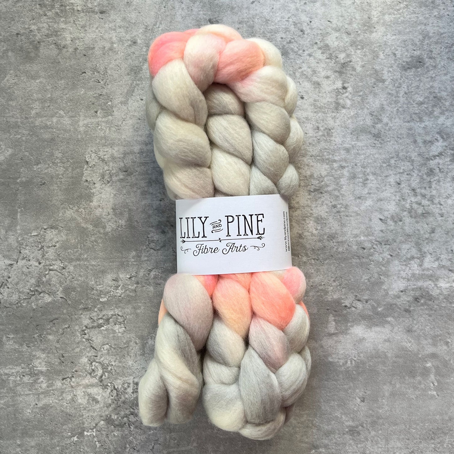 Lily & Pine 100% Merino Combed top- variegated - SkeinAppeal