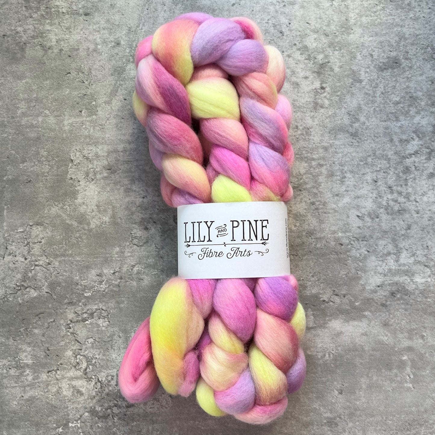 Lily & Pine 100% Merino Combed top- variegated - SkeinAppeal