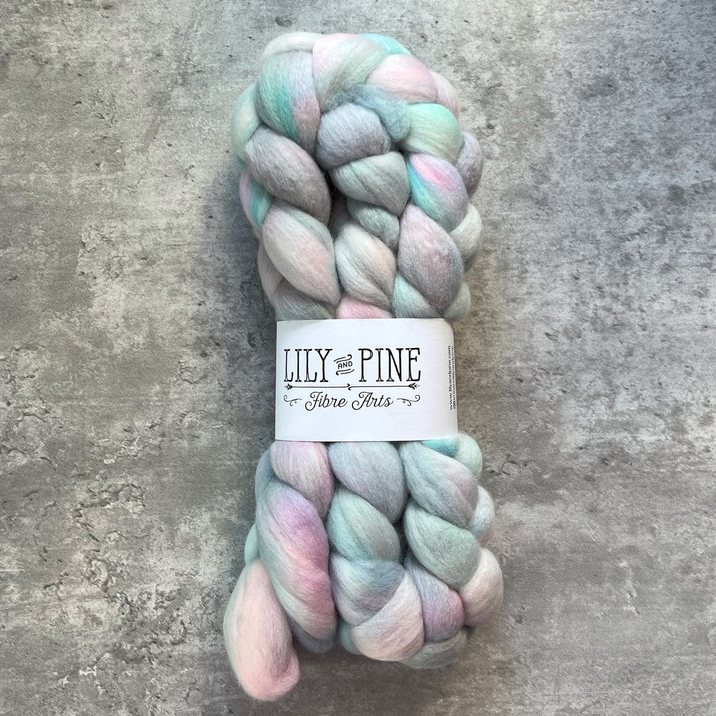 Lily & Pine 100% Merino Combed top- variegated - SkeinAppeal