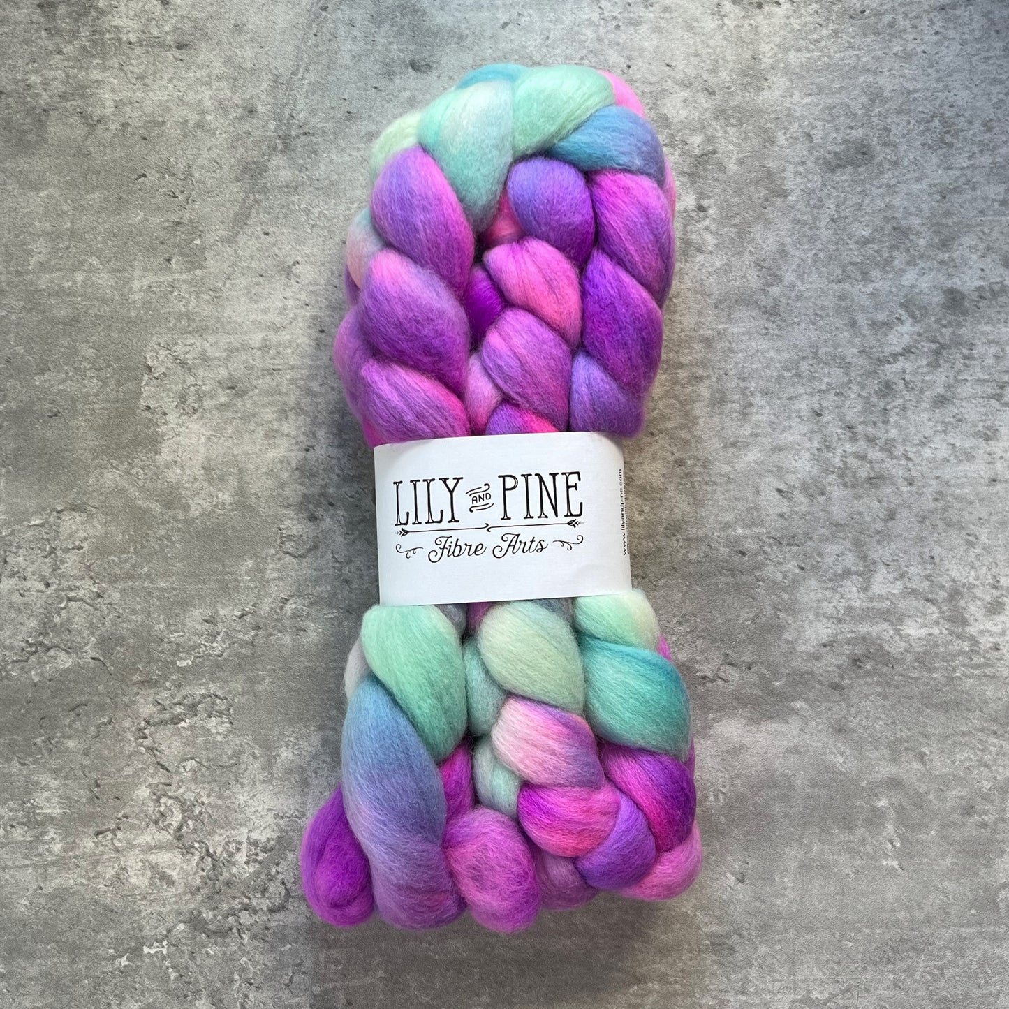 Lily & Pine 100% Merino Combed top- variegated - SkeinAppeal